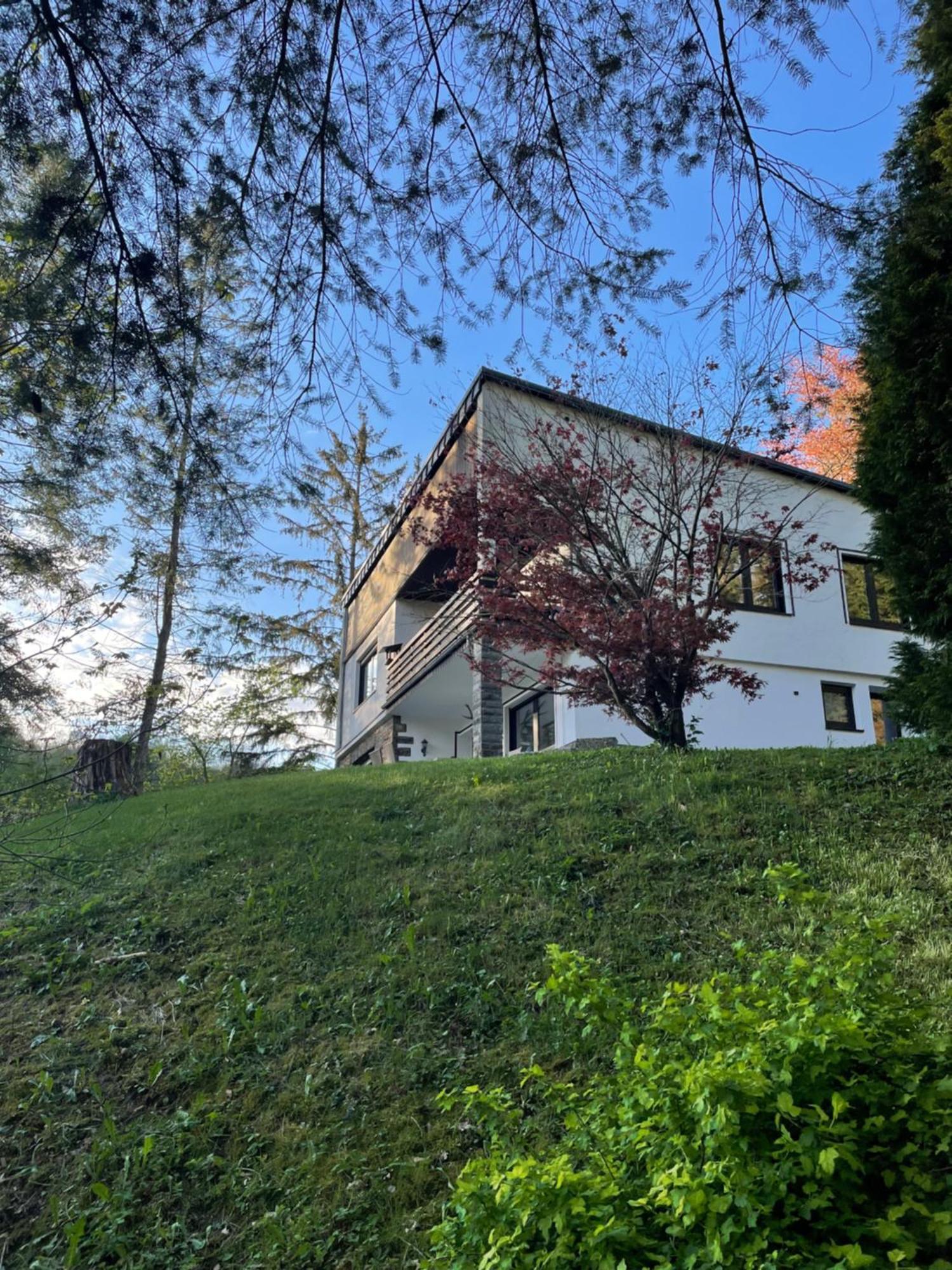 Talblick Chalet Blankenheim Blankenheim  Esterno foto